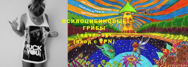 дживик Медвежьегорск