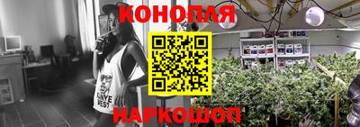крисы Абинск