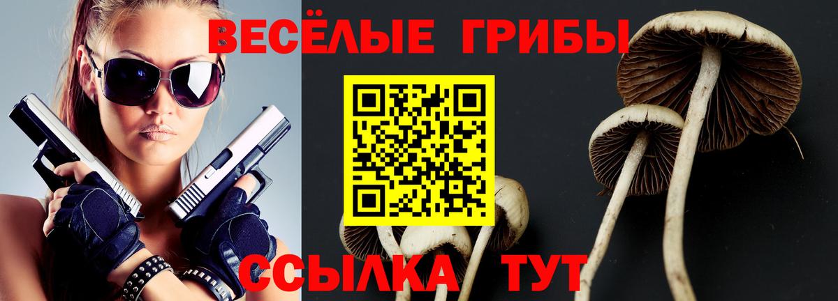 Псилоцибиновые грибы GOLDEN TEACHER Абакан