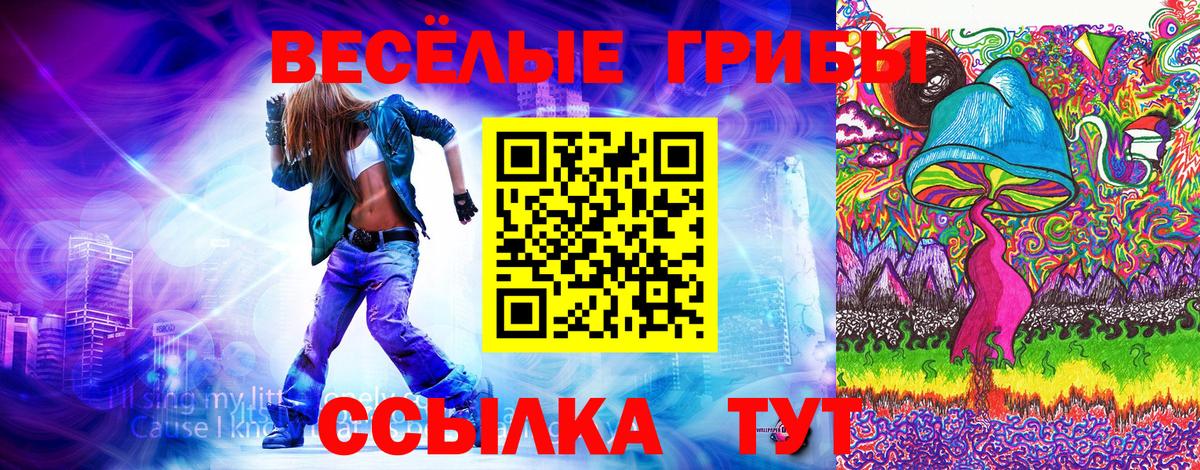 Галлюциногенные грибы прущие грибы  Абакан 